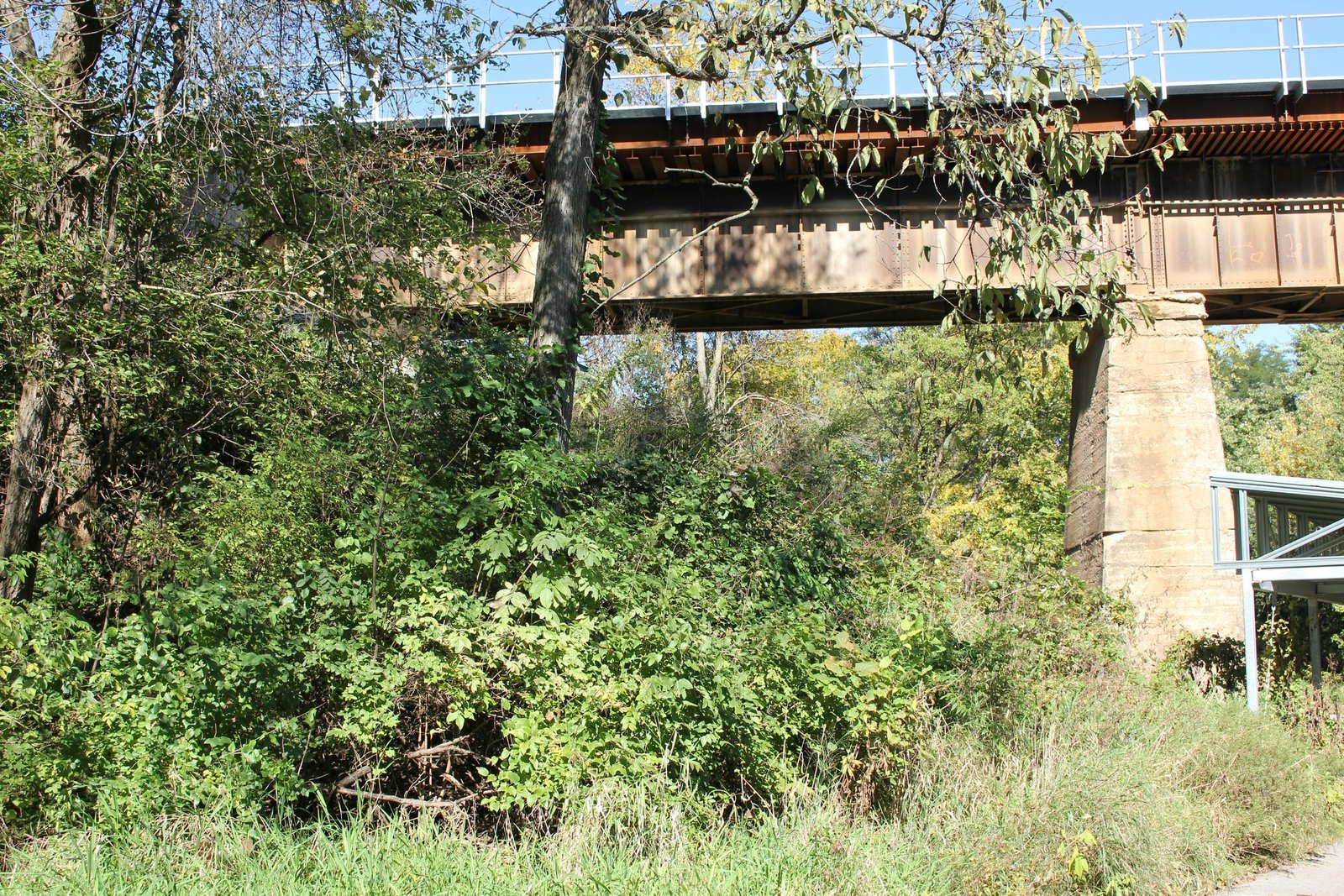 South span